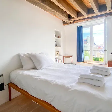Penthouse With Terrasse And View On Eiffel Tower * Parigi
